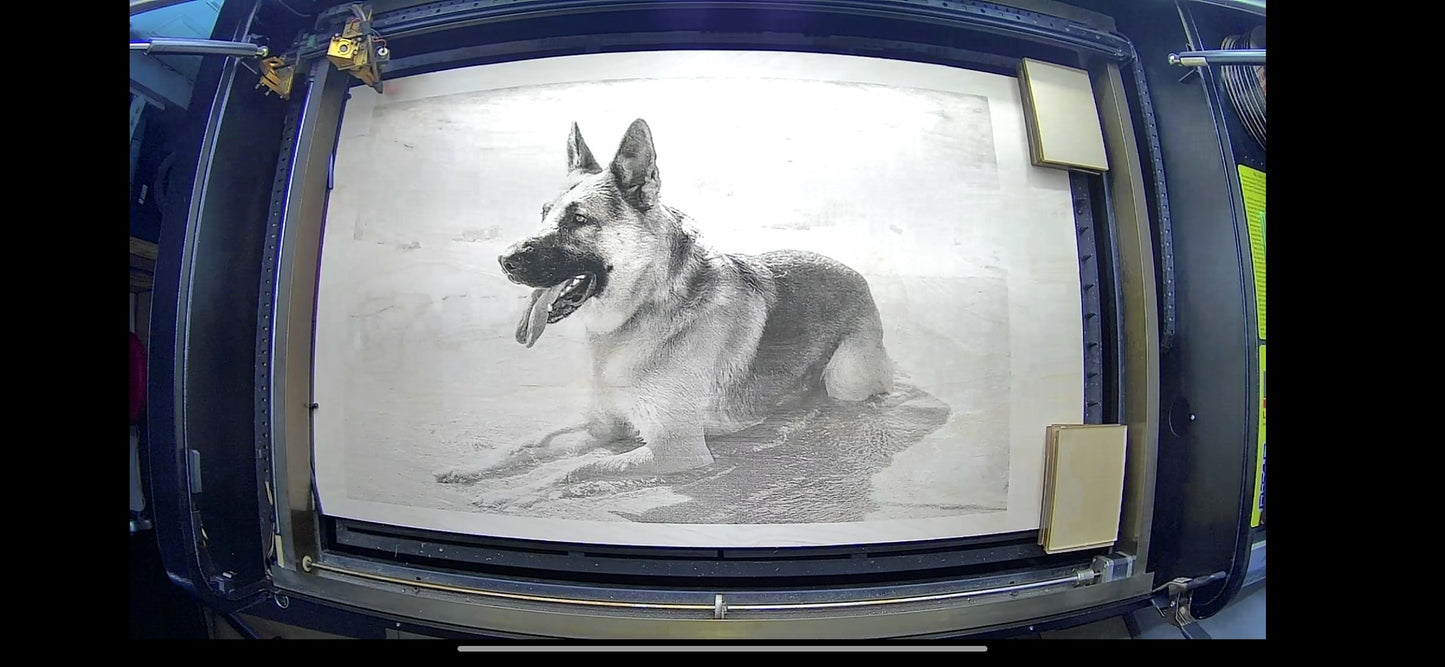 Photo Engraved 1/4" Birchwood